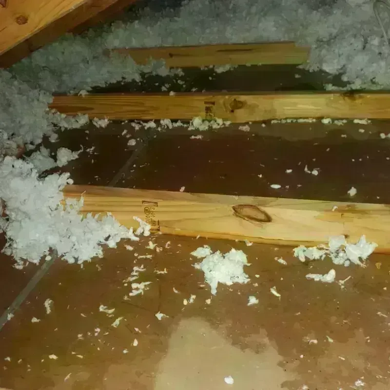 Attic Water Damage in Warren, RI